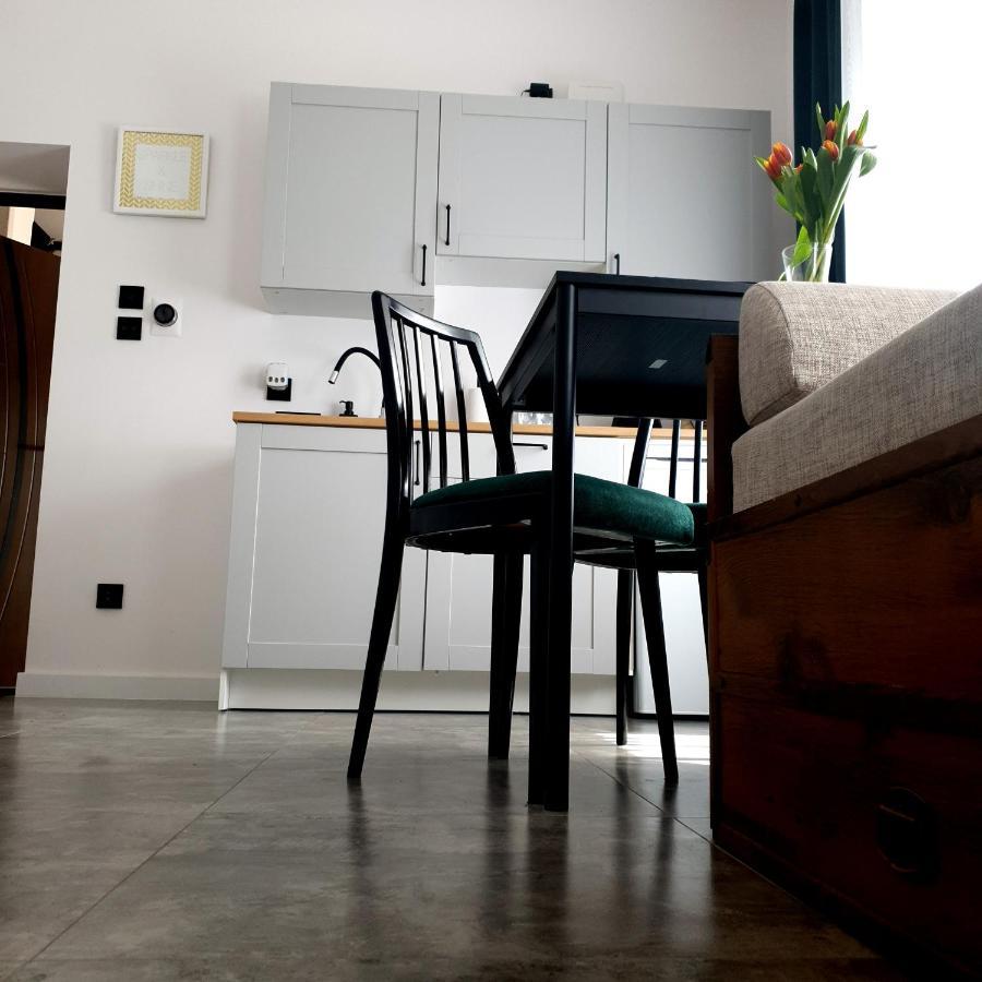 Apartament Z Historia イェレニャ・グーラ エクステリア 写真